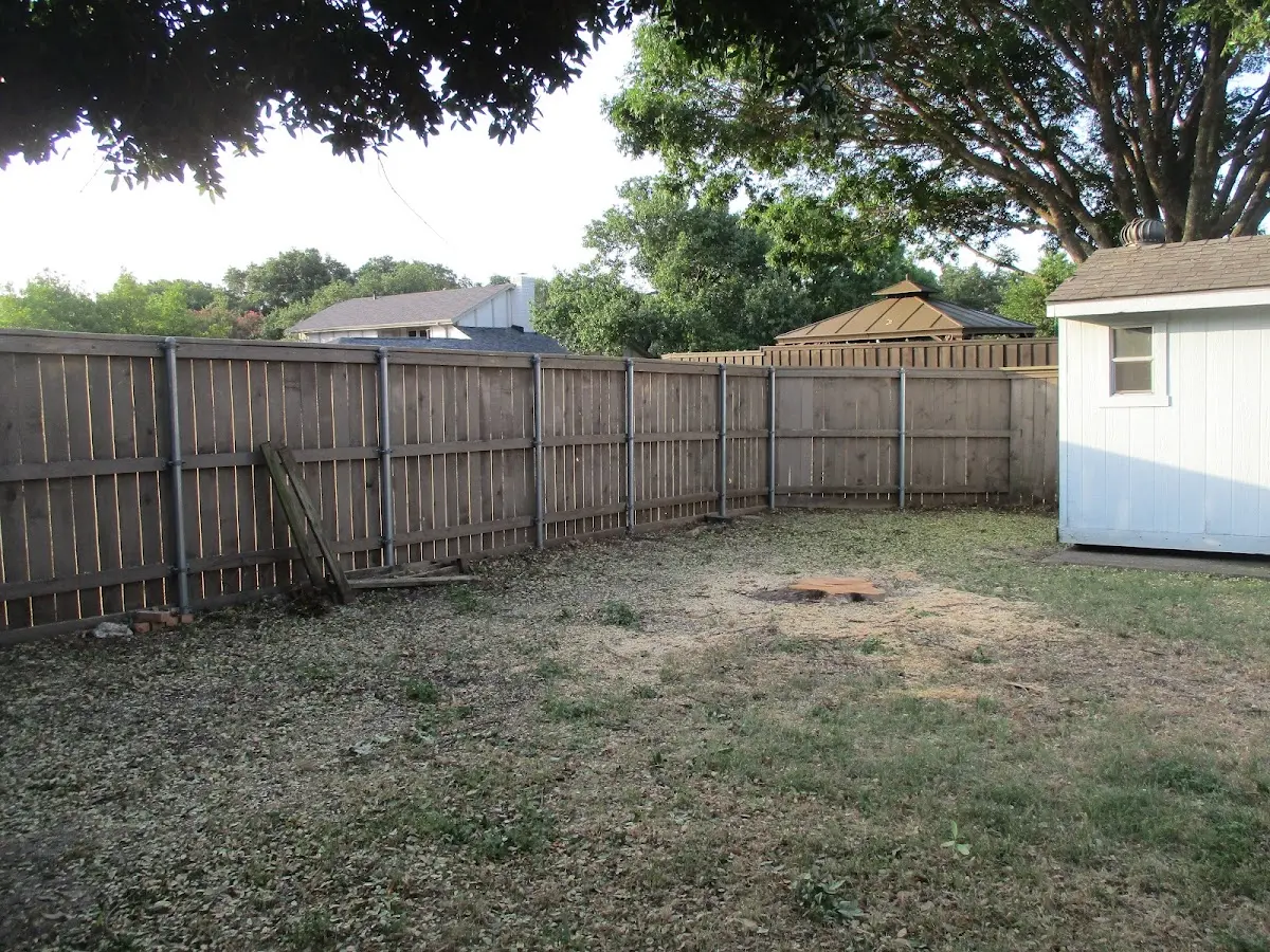 Cleared yard after professional tree removal in Jelm